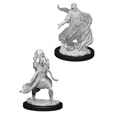 Elf Sorcerer